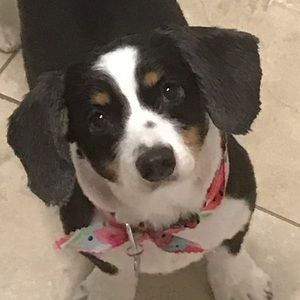 Meet your Posher, Jenny